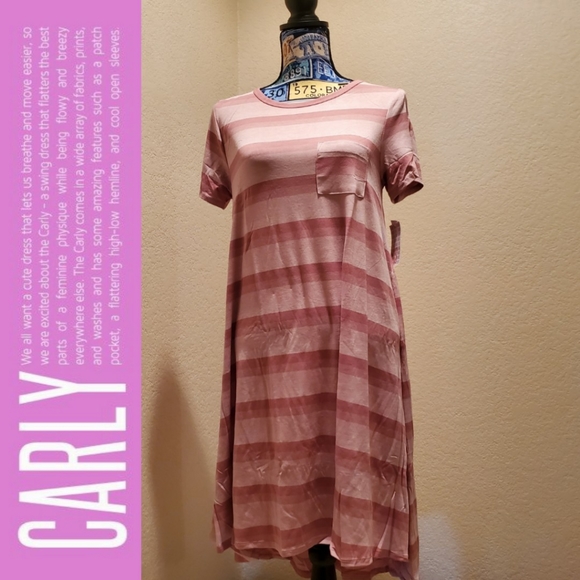 NWT XSMALL LULAROE CARLY DRESS - Picture 1 of 5